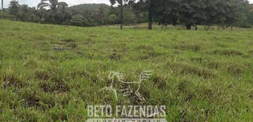 Fazenda à Venda 12.000 Hectares Dupla Aptidão Excelente Oportunidade | Colinas do Tocantins/TO