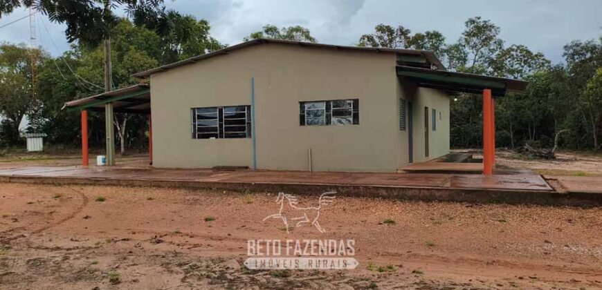 Fazenda à Venda 12.000 Hectares Dupla Aptidão Excelente Oportunidade | Colinas do Tocantins/TO