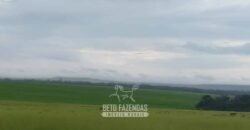 Fazenda à Venda 12.000 Hectares Dupla Aptidão Excelente Oportunidade | Colinas do Tocantins/TO