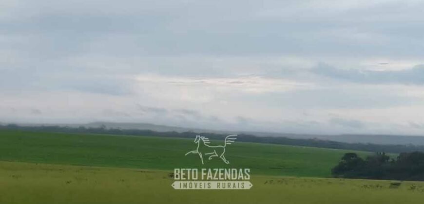 Fazenda à Venda 12.000 Hectares Dupla Aptidão Excelente Oportunidade | Colinas do Tocantins/TO