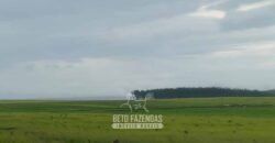 Fazenda à Venda 12.000 Hectares Dupla Aptidão Excelente Oportunidade | Colinas do Tocantins/TO