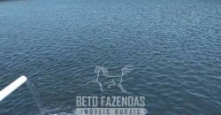 Fazenda à Venda 12.000 Hectares Dupla Aptidão Excelente Oportunidade | Colinas do Tocantins/TO