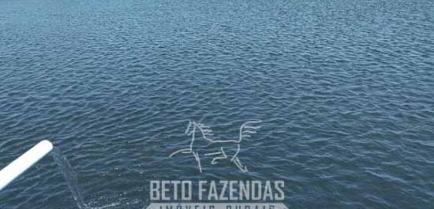 Fazenda à Venda 12.000 Hectares Dupla Aptidão Excelente Oportunidade | Colinas do Tocantins/TO