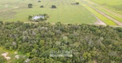 Fazenda à Venda 12.000 Hectares Dupla Aptidão Excelente Oportunidade | Colinas do Tocantins/TO