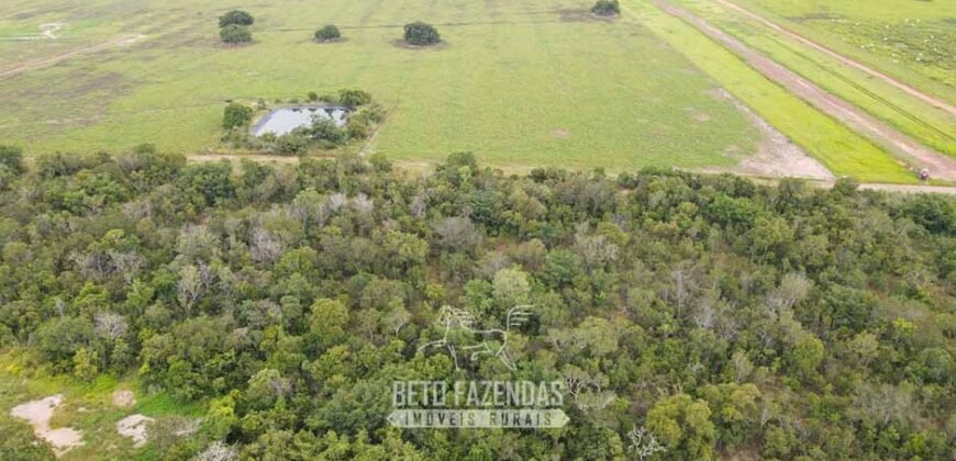 Fazenda à Venda 12.000 Hectares Dupla Aptidão Excelente Oportunidade | Colinas do Tocantins/TO
