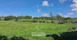 Sítio à Venda 3,5 Alqueires Residencial e de Lazer c/ Curral e Baias | Silva Jardim/ RJ