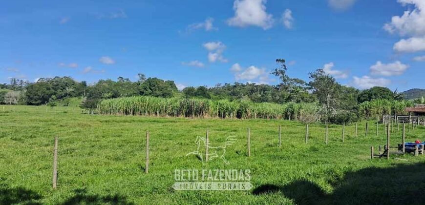 Sítio à Venda 3,5 Alqueires Residencial e de Lazer c/ Curral e Baias | Silva Jardim/ RJ