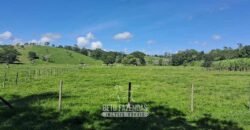 Sítio à Venda 3,5 Alqueires Residencial e de Lazer c/ Curral e Baias | Silva Jardim/ RJ