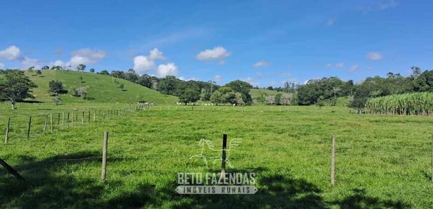 Sítio à Venda 3,5 Alqueires Residencial e de Lazer c/ Curral e Baias | Silva Jardim/ RJ