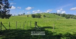 Sítio à Venda 3,5 Alqueires Residencial e de Lazer c/ Curral e Baias | Silva Jardim/ RJ