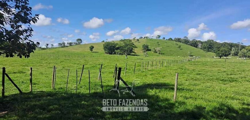 Sítio à Venda 3,5 Alqueires Residencial e de Lazer c/ Curral e Baias | Silva Jardim/ RJ