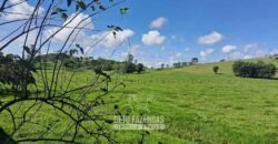 Sítio à Venda 3,5 Alqueires Residencial e de Lazer c/ Curral e Baias | Silva Jardim/ RJ