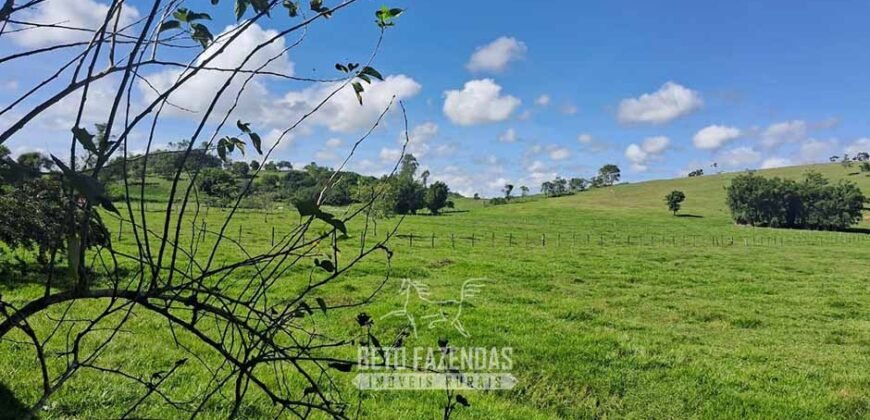 Sítio à Venda 3,5 Alqueires Residencial e de Lazer c/ Curral e Baias | Silva Jardim/ RJ