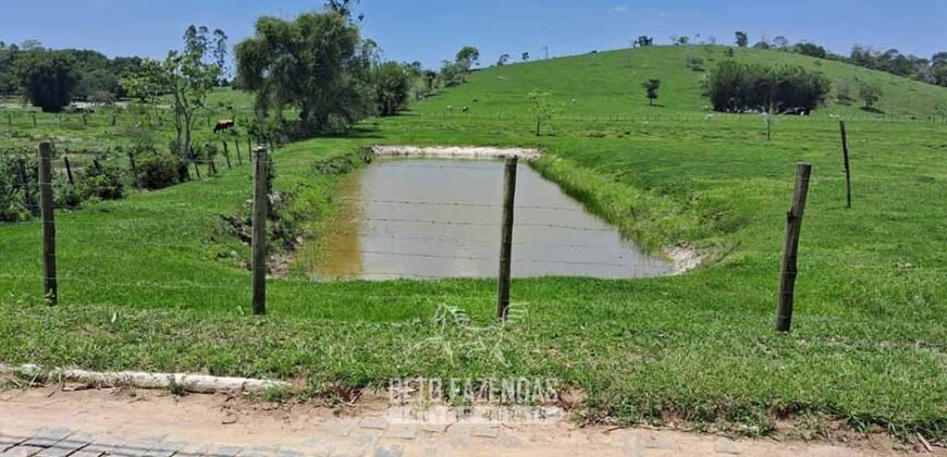 Sítio à Venda 3,5 Alqueires Residencial e de Lazer c/ Curral e Baias | Silva Jardim/ RJ