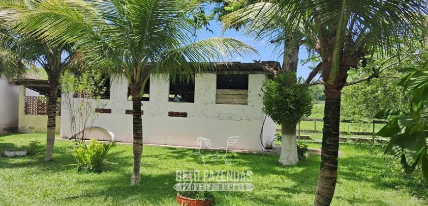 Sítio à Venda 3,5 Alqueires Residencial e de Lazer c/ Curral e Baias | Silva Jardim/ RJ