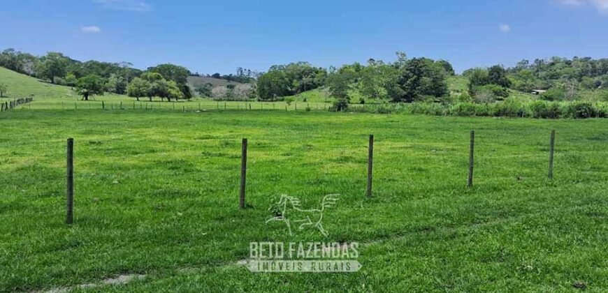 Sítio à Venda 3,5 Alqueires Residencial e de Lazer c/ Curral e Baias | Silva Jardim/ RJ