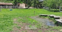 Sítio à Venda 3,5 Alqueires Residencial e de Lazer c/ Curral e Baias | Silva Jardim/ RJ