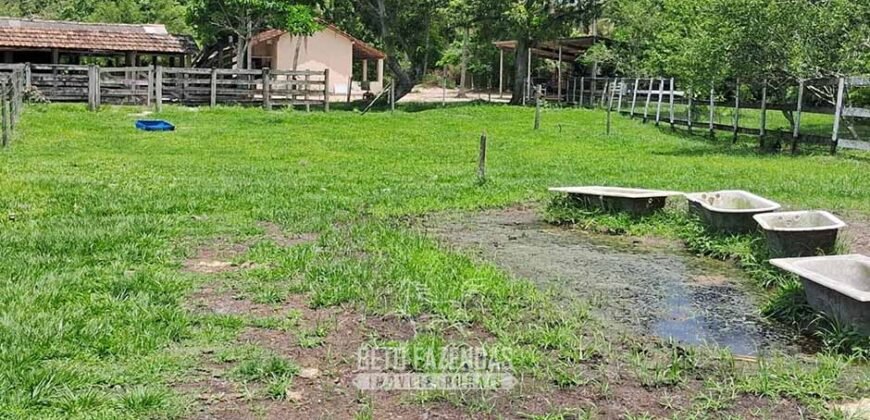 Sítio à Venda 3,5 Alqueires Residencial e de Lazer c/ Curral e Baias | Silva Jardim/ RJ