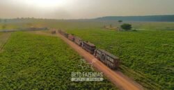 Fazenda à Venda 6.872 Hectares Total Infraestrutura para Agronegócio Pecuária | Tucuruí/ PA