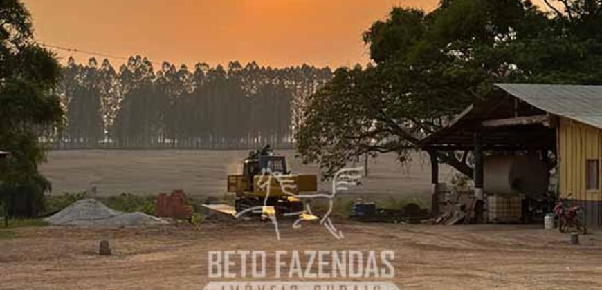 Fazenda à Venda 6.872 Hectares Total Infraestrutura para Agronegócio Pecuária | Tucuruí/ PA