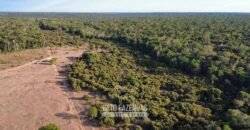 Fazenda à Venda 4.556 Hectares Crédito de Carbono e Investimento Ambiental | Apiacas/ MT