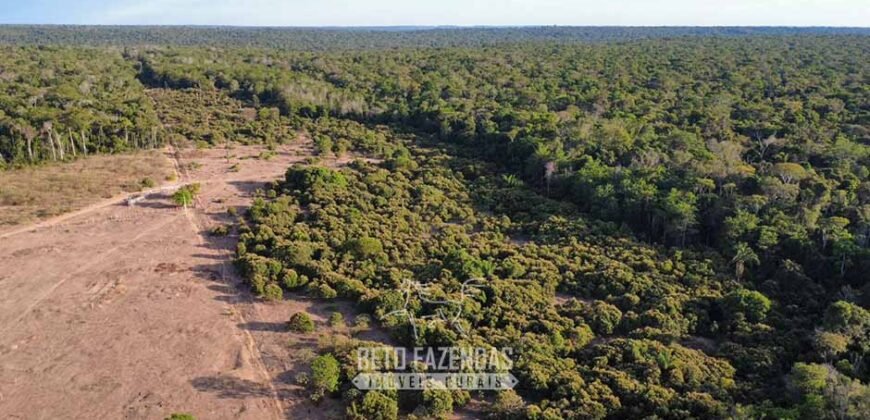 Fazenda à Venda 4.556 Hectares Crédito de Carbono e Investimento Ambiental | Apiacas/ MT