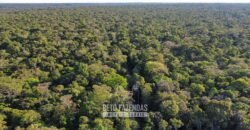 Fazenda à Venda 4.556 Hectares Crédito de Carbono e Investimento Ambiental | Apiacas/ MT