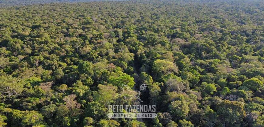 Fazenda à Venda 4.556 Hectares Crédito de Carbono e Investimento Ambiental | Apiacas/ MT