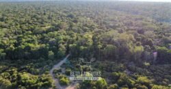 Fazenda à Venda 4.556 Hectares Crédito de Carbono e Investimento Ambiental | Apiacas/ MT