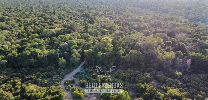 Fazenda à Venda 4.556 Hectares Crédito de Carbono e Investimento Ambiental | Apiacas/ MT
