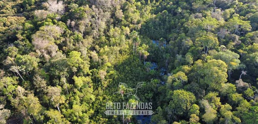 Fazenda à Venda 4.556 Hectares Crédito de Carbono e Investimento Ambiental | Apiacas/ MT