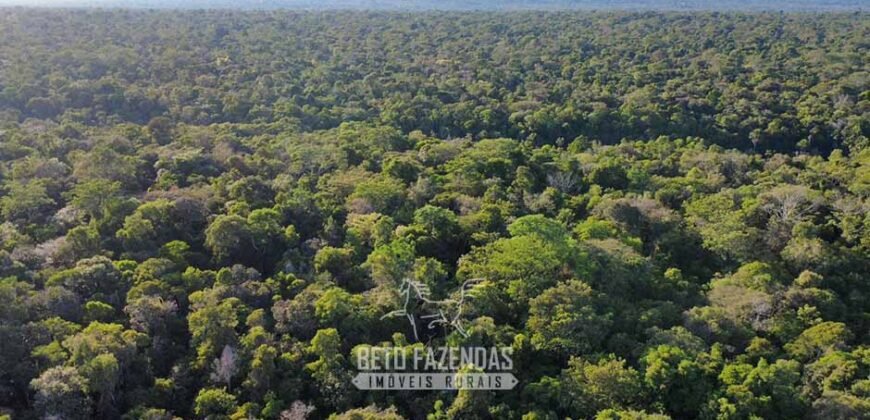 Fazenda à Venda 4.556 Hectares Crédito de Carbono e Investimento Ambiental | Apiacas/ MT