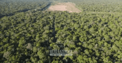 Fazenda à Venda 4.556 Hectares Crédito de Carbono e Investimento Ambiental | Apiacas/ MT