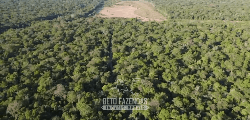 Fazenda à Venda 4.556 Hectares Crédito de Carbono e Investimento Ambiental | Apiacas/ MT