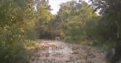 Fazenda à Venda 4.556 Hectares Crédito de Carbono e Investimento Ambiental | Apiacas/ MT