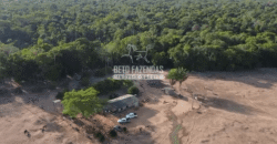 Fazenda à Venda 4.556 Hectares Crédito de Carbono e Investimento Ambiental | Apiacas/ MT