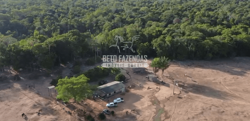 Fazenda à Venda 4.556 Hectares Crédito de Carbono e Investimento Ambiental | Apiacas/ MT