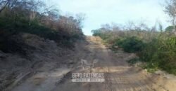 Fazenda à Venda 7.000 Hectares Lavoura Pecuária Reflorestamento | Pilão Arcado/BA