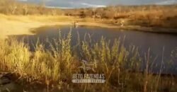 Fazenda à Venda 7.000 Hectares Lavoura Pecuária Reflorestamento | Pilão Arcado/BA