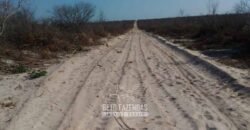 Fazenda à Venda 7.000 Hectares Lavoura Pecuária Reflorestamento | Pilão Arcado/BA