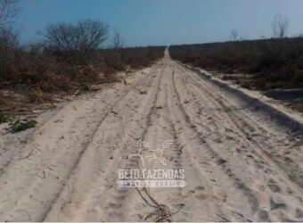 Fazenda à Venda 7.000 Hectares Lavoura Pecuária Reflorestamento | Pilão Arcado/BA