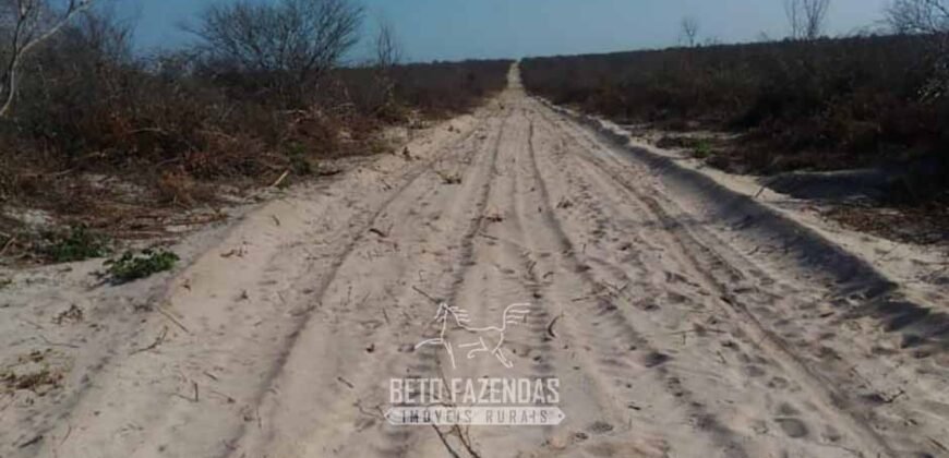 Fazenda à Venda 7.000 Hectares Lavoura Pecuária Reflorestamento | Pilão Arcado/BA