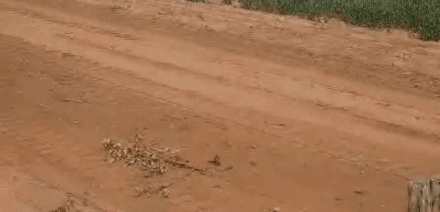 Fazenda à Venda 6.539 Hectares Potencial Agrícola e Rucursos Hídricos | Riachão das Neves/BA