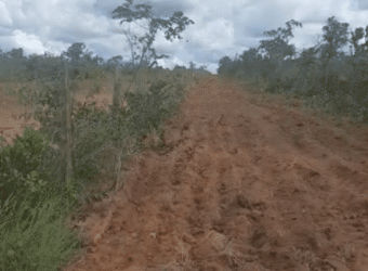 Fazenda à Venda 6.539 Hectares Potencial Agrícola e Rucursos Hídricos | Riachão das Neves/BA