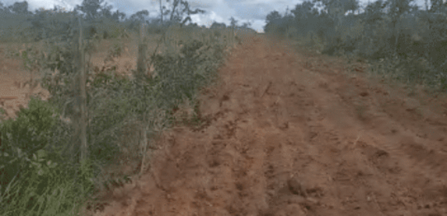 Fazenda à Venda 6.539 Hectares Potencial Agrícola e Rucursos Hídricos | Riachão das Neves/BA