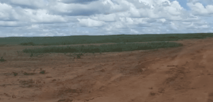 Fazenda à Venda 6.539 Hectares Potencial Agrícola e Rucursos Hídricos | Riachão das Neves/BA