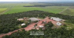 Fazenda à Venda 12.000 Hectares Dupla Aptidão Excelente Oportunidade | Colinas do Tocantins/TO