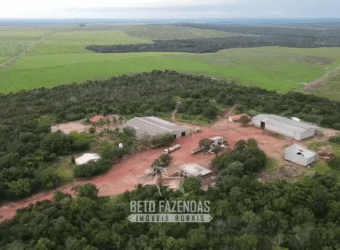 Fazenda à Venda 12.000 Hectares Dupla Aptidão Excelente Oportunidade | Colinas do Tocantins/TO