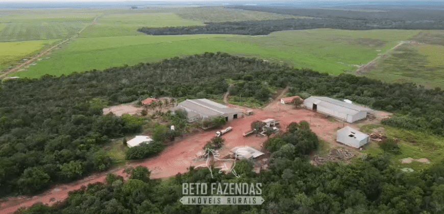 Fazenda à Venda 12.000 Hectares Dupla Aptidão Excelente Oportunidade | Colinas do Tocantins/TO