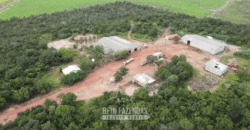 Fazenda à Venda 12.000 Hectares Dupla Aptidão Excelente Oportunidade | Colinas do Tocantins/TO